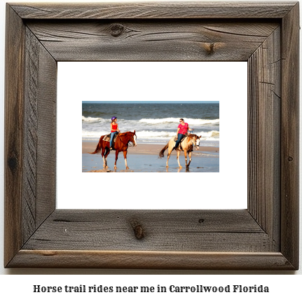 horse trail rides near me in Carrollwood, Florida